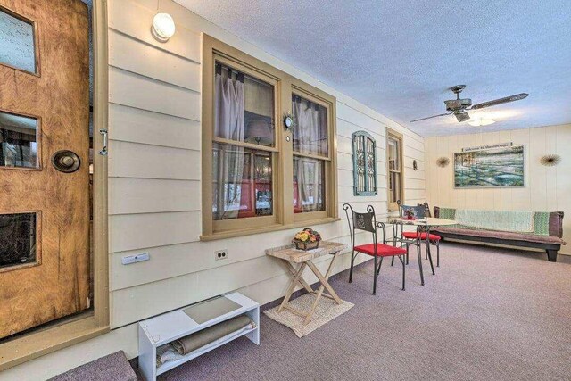4290 Clark St, Lewiston, MI 49756 - porch with ceiling fan