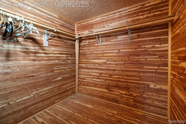 36963 Heatherton Dr, Farmington, MI 48335 - view of closet