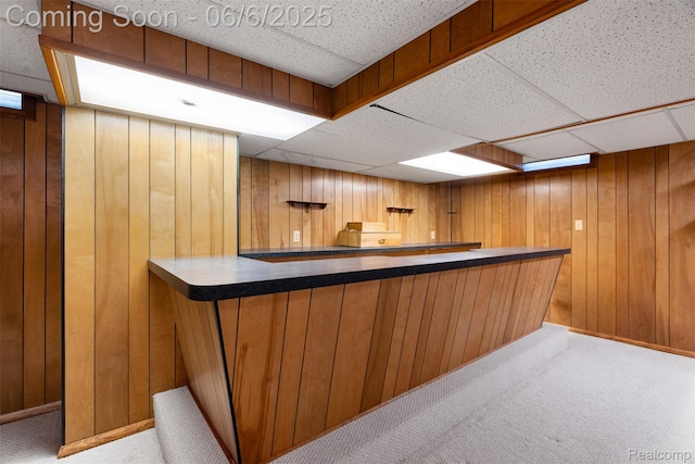 36963 Heatherton Dr, Farmington, MI 48335 - indoor dry bar with wood walls, carpet floors, a paneled ceiling, and baseboards