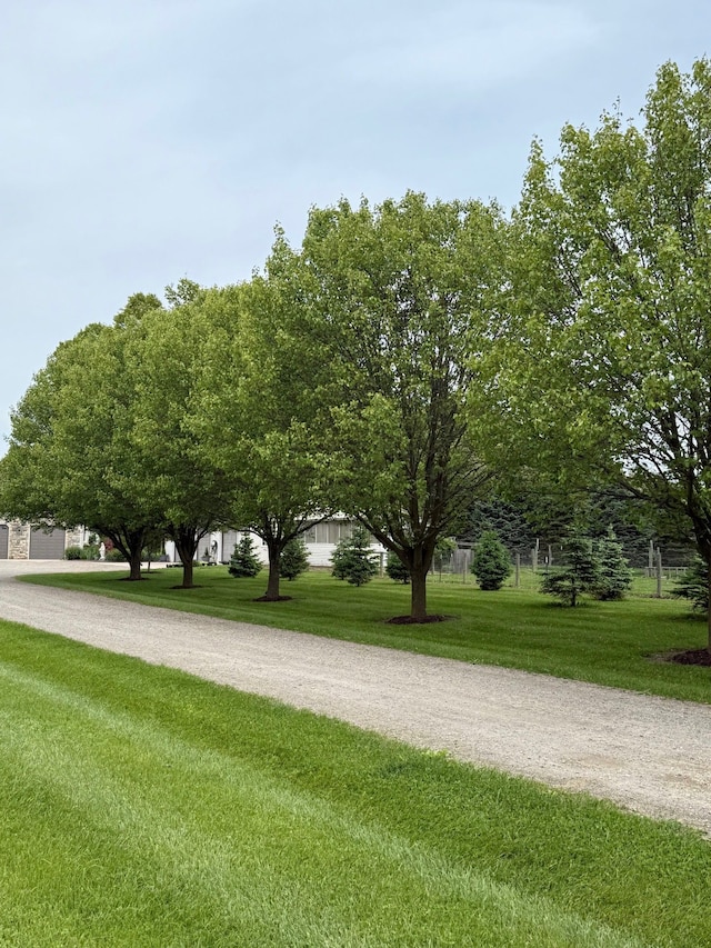 6523 Jones Rd, North Branch, MI 48461 - view of dirt / gravel road