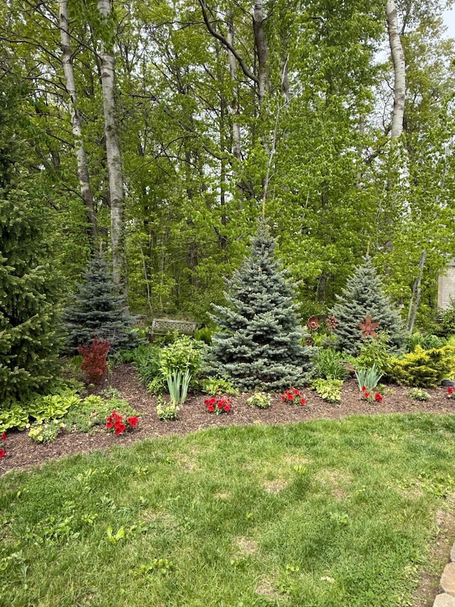 6523 Jones Rd, North Branch, MI 48461 - view of yard