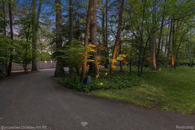 7371 Lindenmere Dr, Bloomfield Hills, MI 48301 - view of street