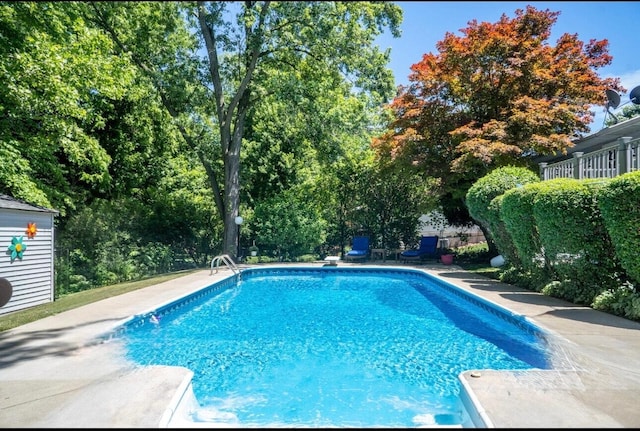 3051 Lantana Ct SE, Kentwood, MI 49512 - outdoor pool with view of wooded area
