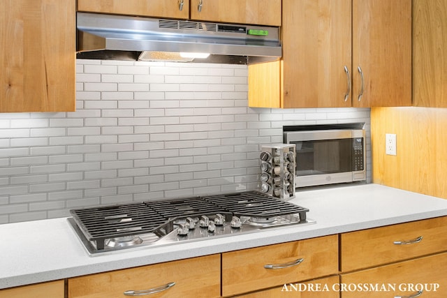 16993 Firefly Rdg, West Olive, MI 49460 - kitchen with under cabinet range hood, appliances with stainless steel finishes, backsplash, and light countertops