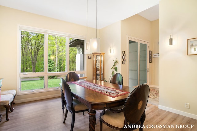 16993 Firefly Rdg, West Olive, MI 49460 - dining space featuring plenty of natural light, baseboards, and light wood finished floors