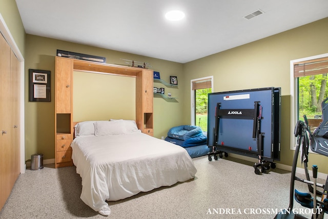16993 Firefly Rdg, West Olive, MI 49460 - bedroom with multiple windows, a closet, and baseboards