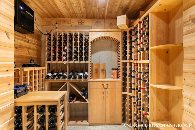 16993 Firefly Rdg, West Olive, MI 49460 - wine room with wood ceiling and wood walls