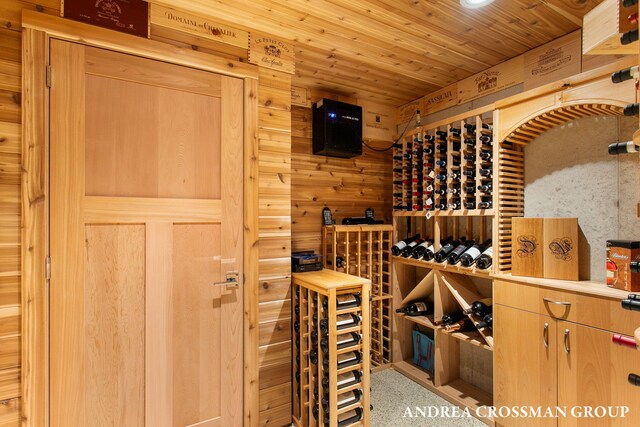 16993 Firefly Rdg, West Olive, MI 49460 - wine room with wood walls