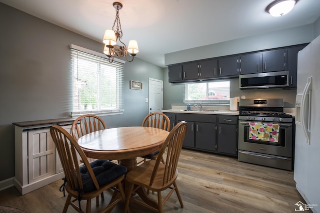 43800 Proctor Rd, Canton, MI 48188 - dining space featuring healthy amount of natural light, light wood-style flooring, and a chandelier