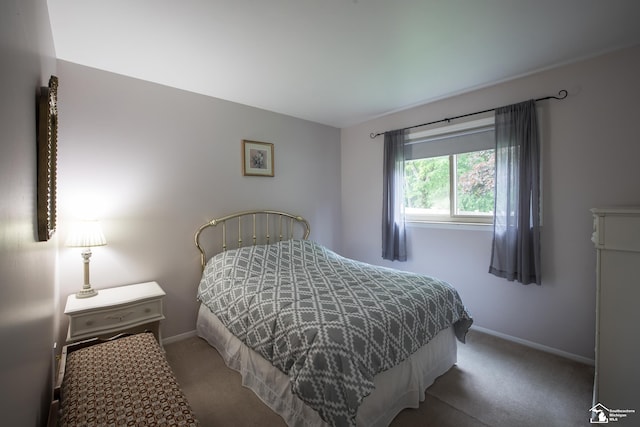 43800 Proctor Rd, Canton, MI 48188 - bedroom featuring carpet and baseboards