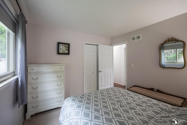 43800 Proctor Rd, Canton, MI 48188 - carpeted bedroom featuring multiple windows, a closet, and baseboards