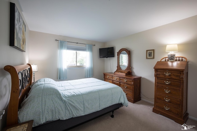 43800 Proctor Rd, Canton, MI 48188 - carpeted bedroom with baseboards