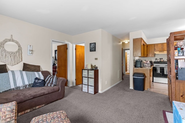 612 E 3rd St, Flint, MI 48503 - living room featuring carpet floors and baseboards