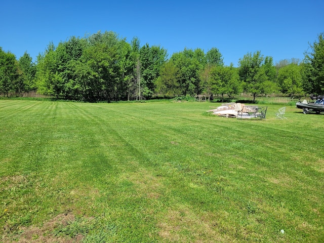 4908 Brookfield Rd, Charlotte, MI 48813 - view of green lawn