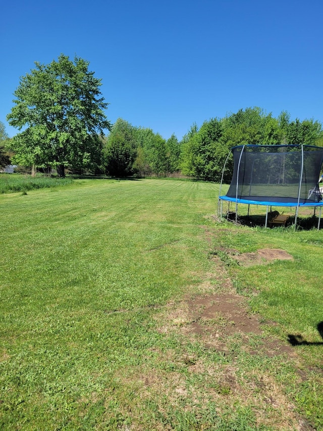 4908 Brookfield Rd, Charlotte, MI 48813 - view of grassy yard featuring a trampoline