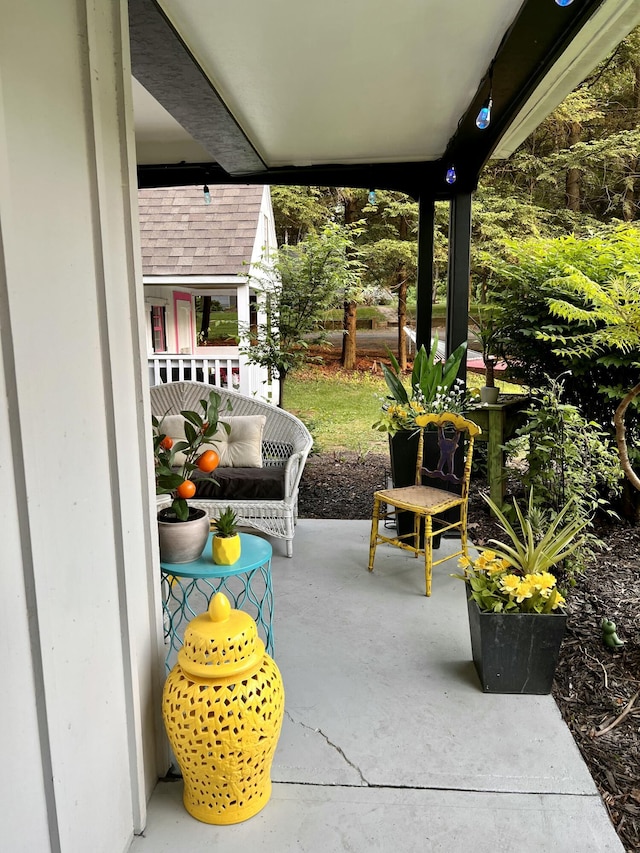 4491 S Jackson Rd, Jackson, MI 49201 - view of patio