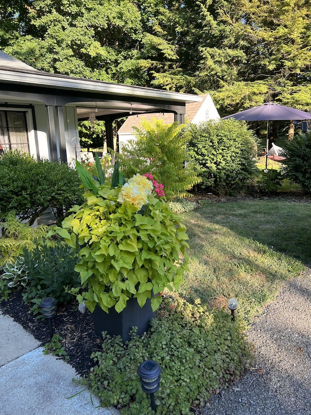 4491 S Jackson Rd, Jackson, MI 49201 - view of yard
