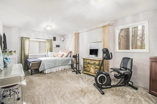 4491 S Jackson Rd, Jackson, MI 49201 - view of carpeted bedroom