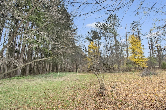 4491 S Jackson Rd, Jackson, MI 49201 - view of grassy yard featuring a view of trees