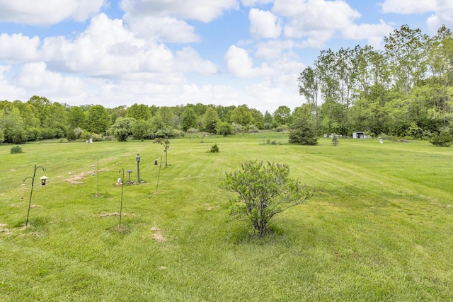 3460 Sears Rd, Horton, MI 49246 - view of grassy yard