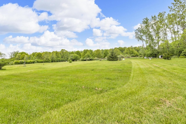 3460 Sears Rd, Horton, MI 49246 - view of grassy yard