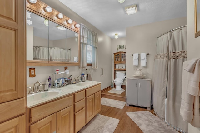 3460 Sears Rd, Horton, MI 49246 - full bathroom featuring wood finished floors, toilet, double vanity, and curtained shower