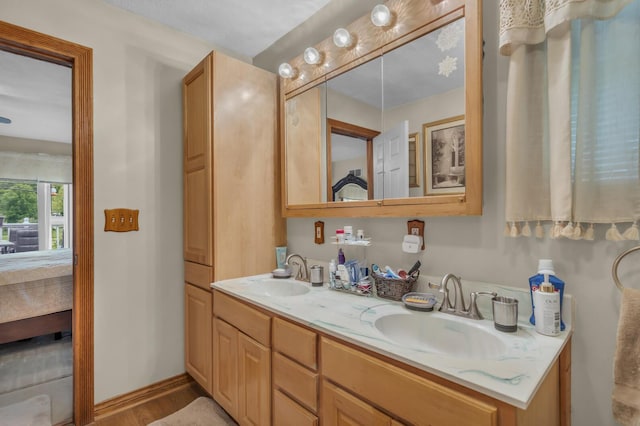 3460 Sears Rd, Horton, MI 49246 - ensuite bathroom with double vanity, wood finished floors, and baseboards