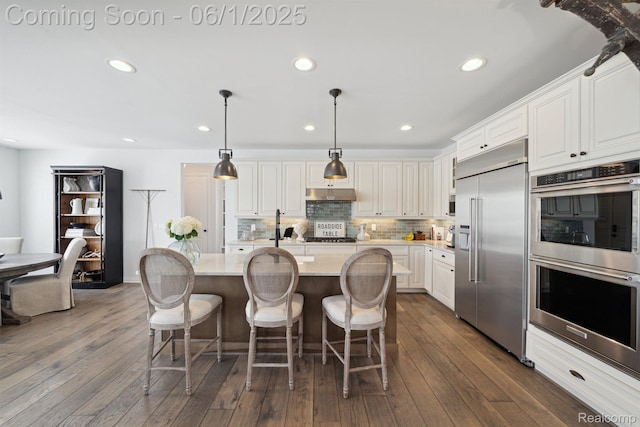1992 Shipman Blvd, Birmingham, MI 48009 - kitchen with appliances with stainless steel finishes, under cabinet range hood, light countertops, tasteful backsplash, and white cabinets