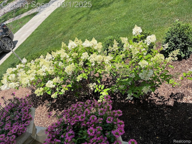 1992 Shipman Blvd, Birmingham, MI 48009 - exterior view