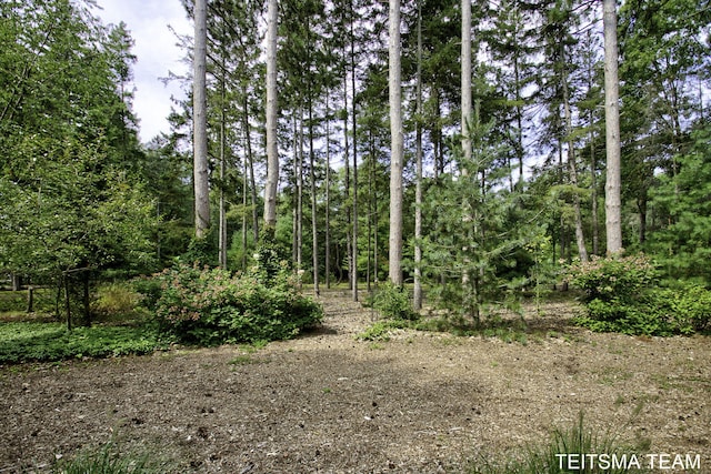 12993 144th Ave, Grand Haven, MI 49417 - view of undeveloped land