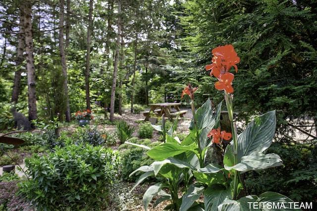 12993 144th Ave, Grand Haven, MI 49417 - view of yard