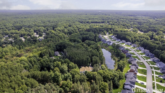 12993 144th Ave, Grand Haven, MI 49417 - aerial view of residential area with a forest