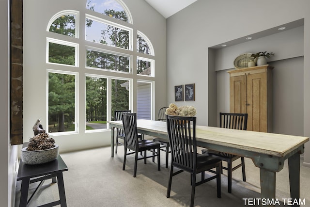 12993 144th Ave, Grand Haven, MI 49417 - dining space with high vaulted ceiling and carpet floors