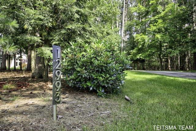 12993 144th Ave, Grand Haven, MI 49417 - view of yard