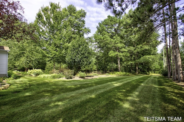12993 144th Ave, Grand Haven, MI 49417 - view of green lawn