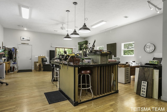 12993 144th Ave, Grand Haven, MI 49417 - kitchen with open floor plan, healthy amount of natural light, a ceiling fan, and light wood-type flooring