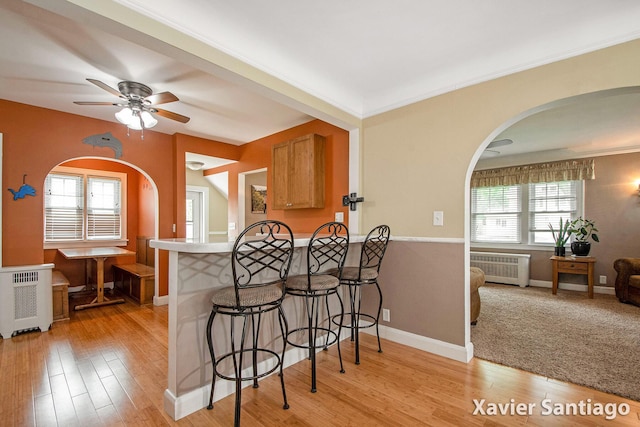 429 Van Allen St SE, Wyoming, MI 49548 - kitchen with radiator heating unit, arched walkways, a ceiling fan, light wood finished floors, and healthy amount of natural light