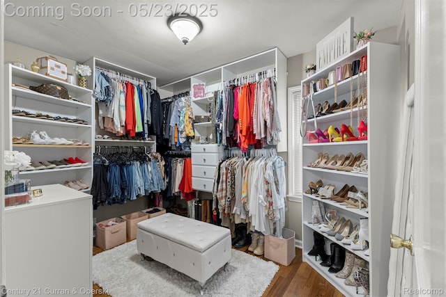 3346 Westpoint St, Dearborn, MI 48124 - walk in closet with wood finished floors