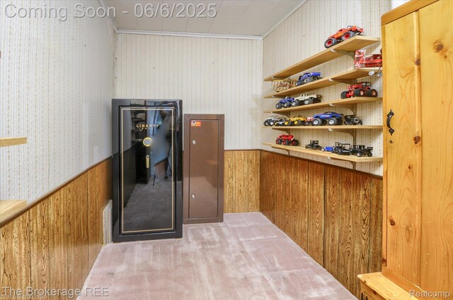 8114 Wilson Rd, Otisville, MI 48463 - wine room featuring wallpapered walls, crown molding, a wainscoted wall, and wooden walls