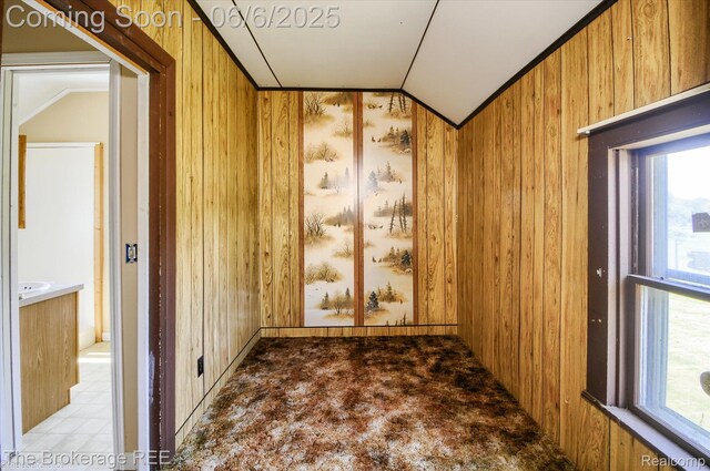 8114 Wilson Rd, Otisville, MI 48463 - spare room with lofted ceiling and wood walls