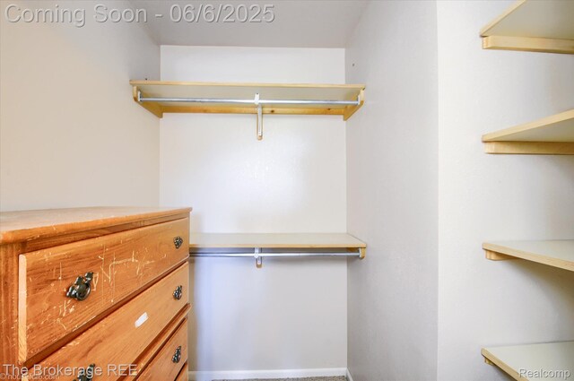 8114 Wilson Rd, Otisville, MI 48463 - view of spacious closet