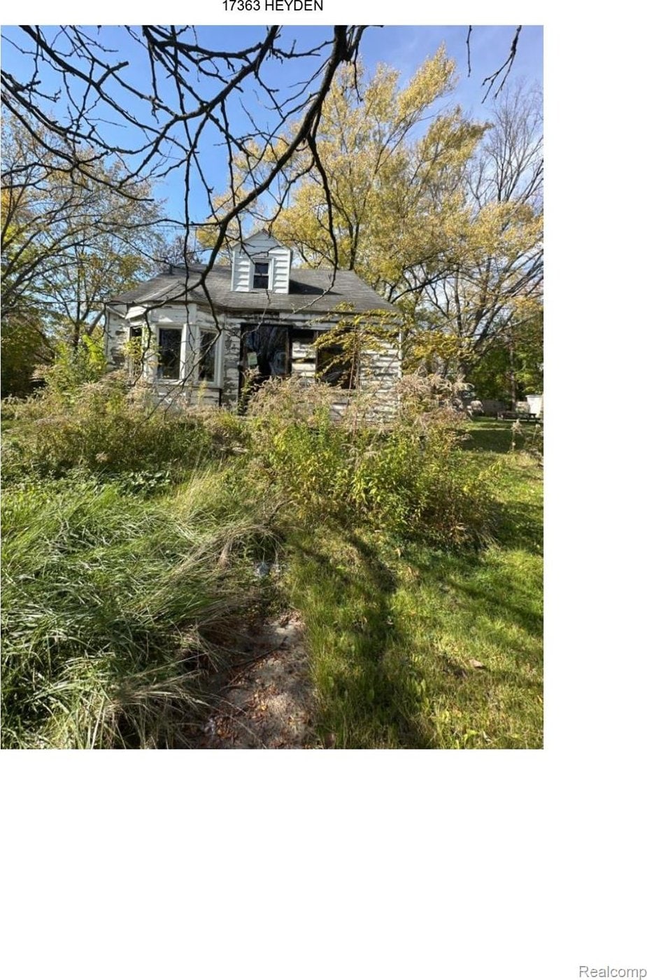 17363 Heyden St, Detroit, MI 48219 - view of yard