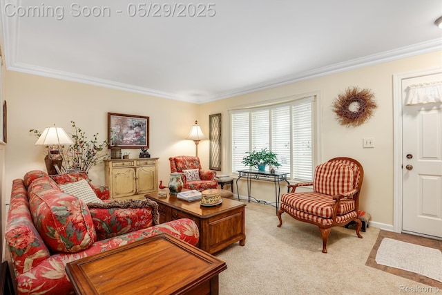 22540 Devonshire St, Woodhaven, MI 48183 - living area featuring crown molding and light carpet