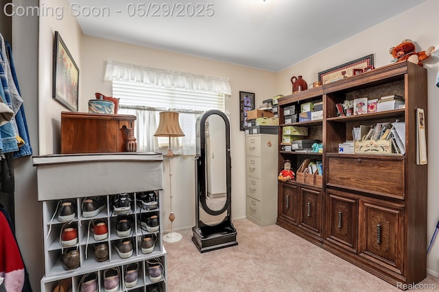 22540 Devonshire St, Woodhaven, MI 48183 - home office featuring carpet