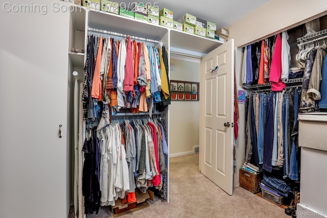 22540 Devonshire St, Woodhaven, MI 48183 - spacious closet with carpet floors