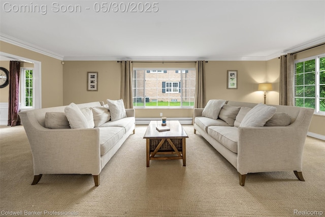 4462 Barchester Dr, Bloomfield Hills, MI 48302 - carpeted living room with ornamental molding