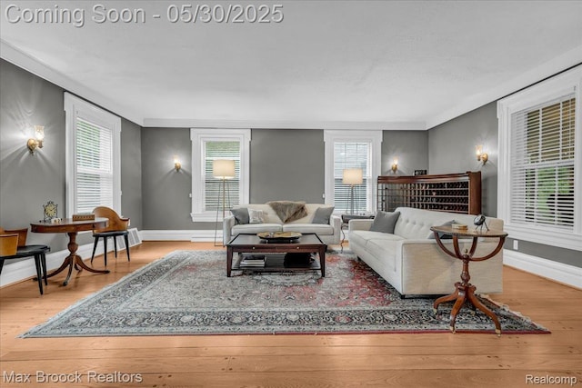 27160 Scenic, Franklin, MI 48025 - living room featuring wood finished floors, baseboards, and healthy amount of natural light