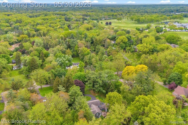 27160 Scenic, Franklin, MI 48025 - bird's eye view of a forest