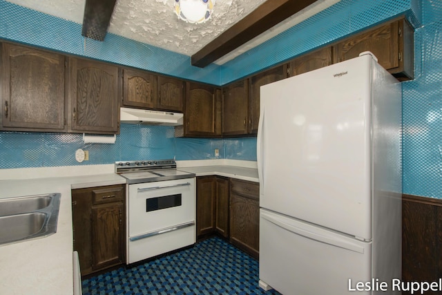 6221 Honeymoon Dr, Lakeview, MI 48850 - kitchen with white appliances, under cabinet range hood, light countertops, a sink, and dark brown cabinetry
