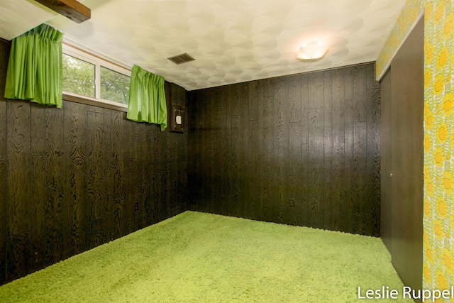 6221 Honeymoon Dr, Lakeview, MI 48850 - basement featuring wooden walls